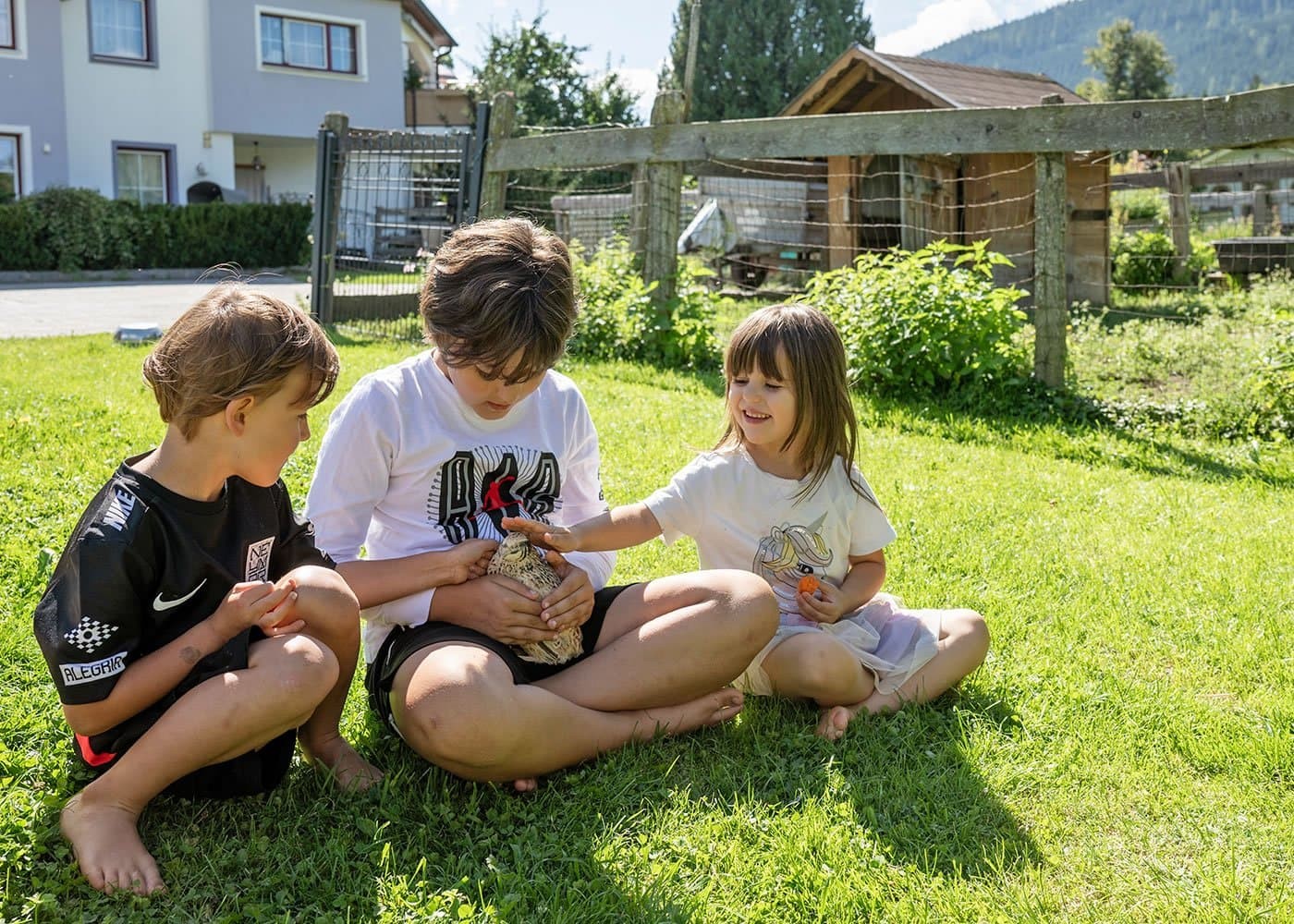 Kinder streichen Wachteln
