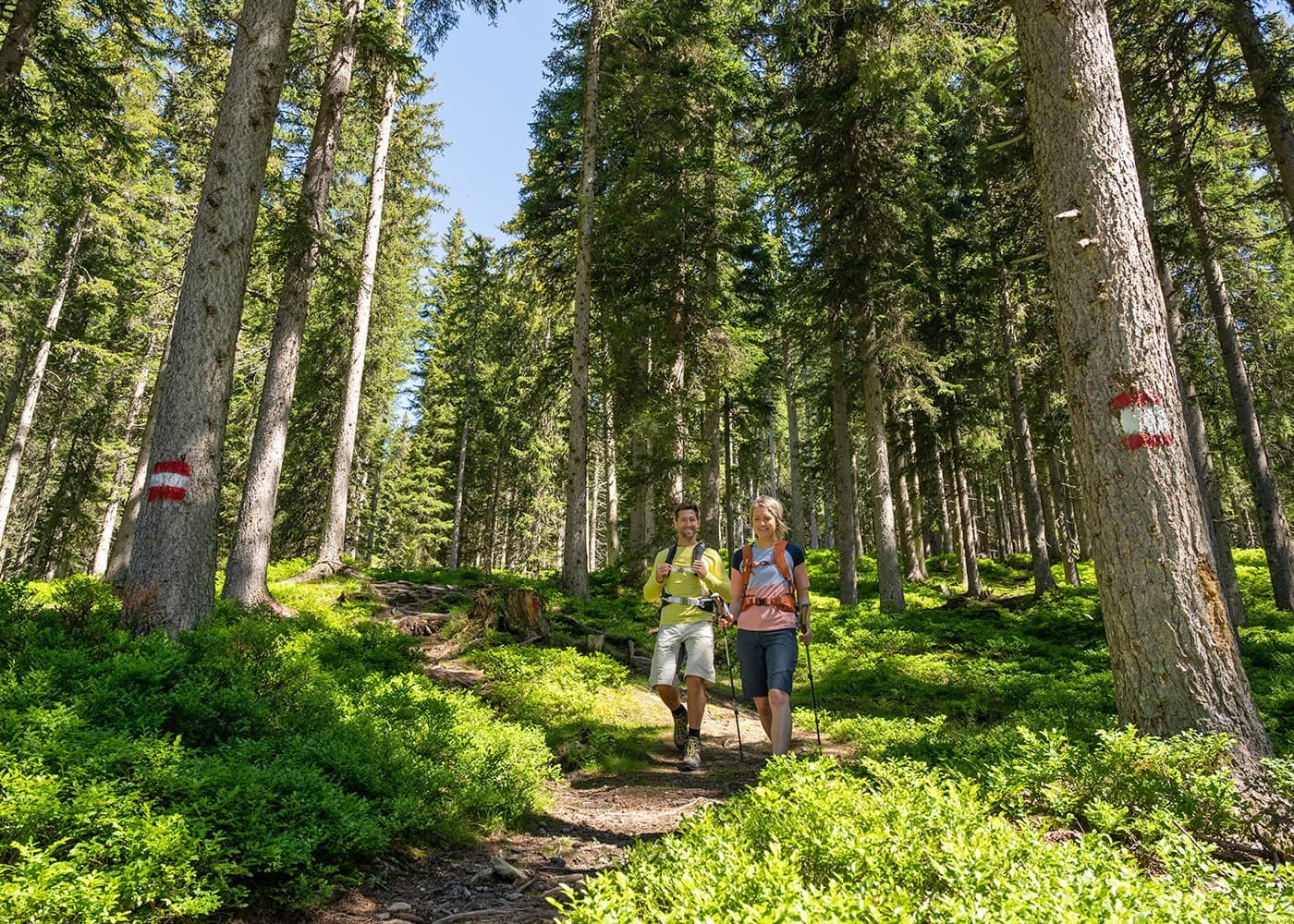 Gemeinsame Wanderung © TVB Radstadt, Lorenz Masser