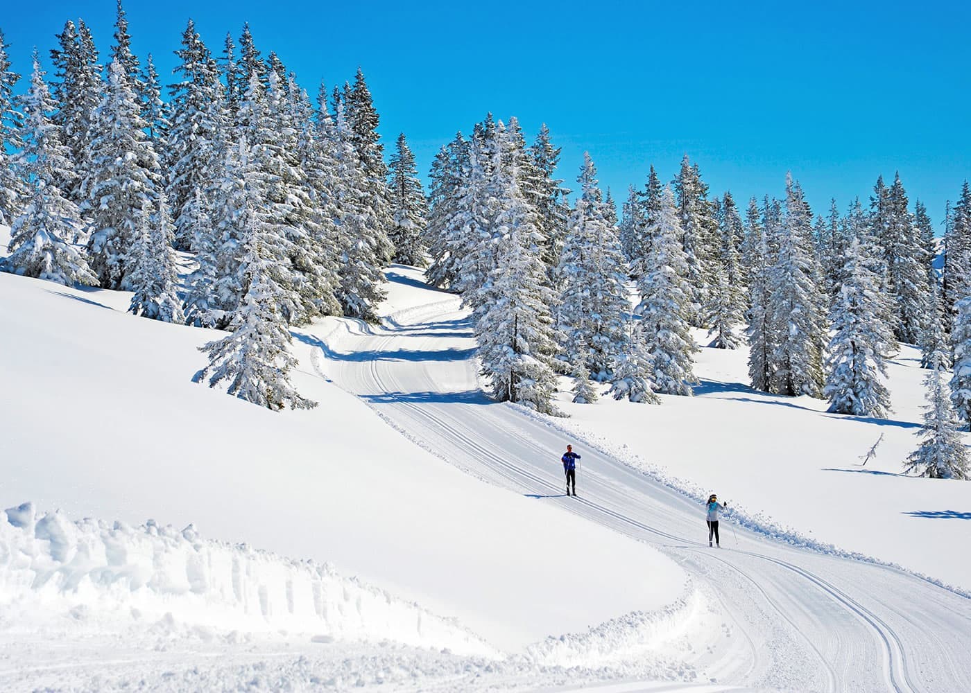 Langlaufen auf der Höhenloipe am Roßbrand © TVB Radstadt, Christian Schartner